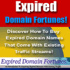 Thumbnail Expired Domain Fortunes